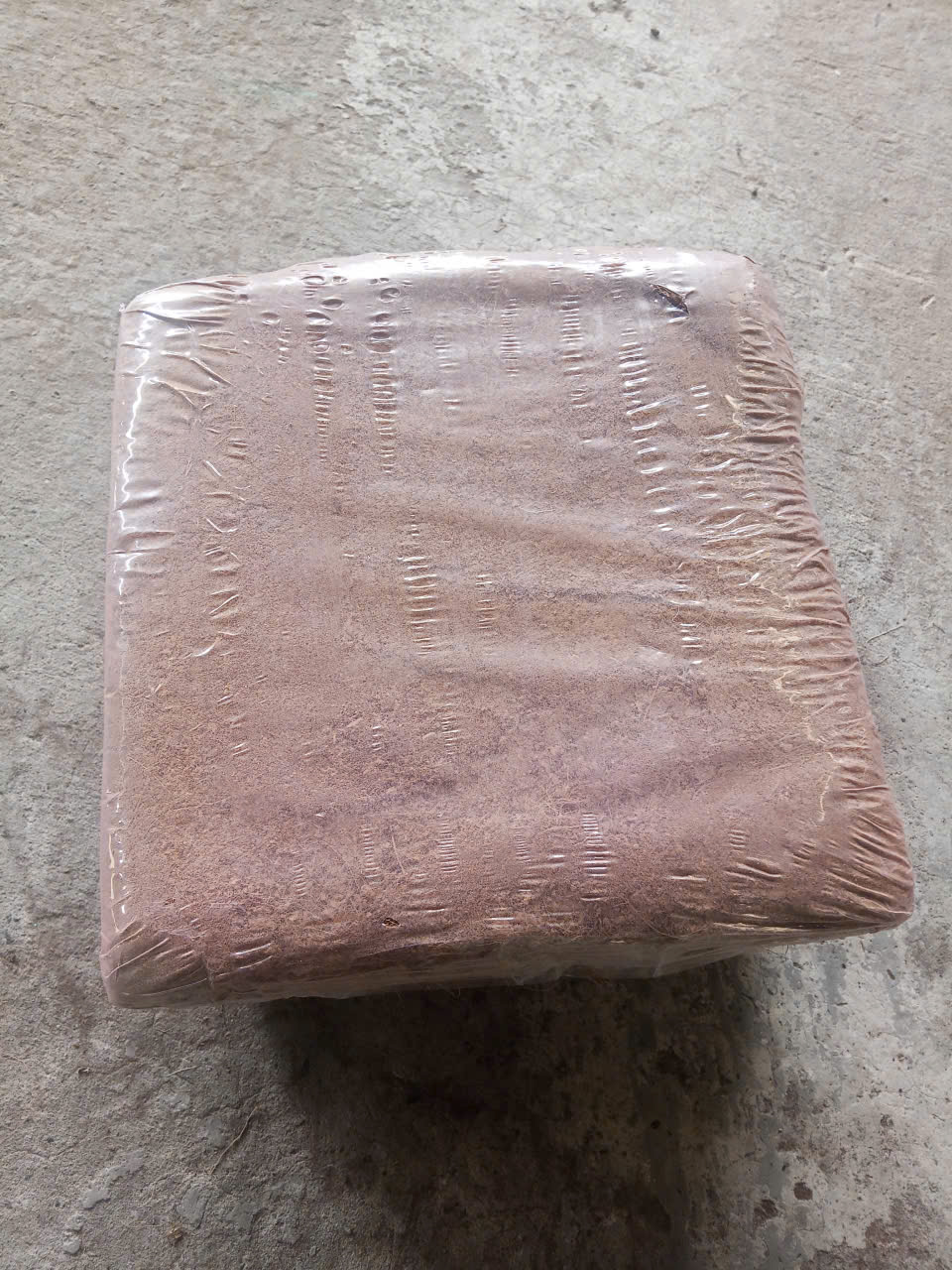 Cocopeat block
